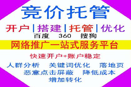 SEM托管服务成功案例背后的故事